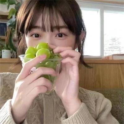 莫莉快跑